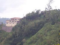 The Starlight Hotel jamaica