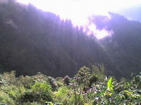 sun