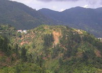 Section