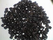 jamaican coffee beans